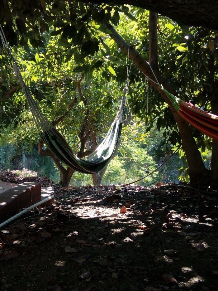 img_20180822_173210_43534779295_o